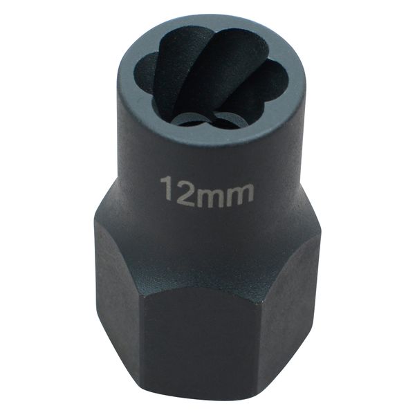Hesselink SN-12 I Spezial-Steckschlüssel-Einsatz / Schraubenausdreher I (1/2") I SW 12 mm