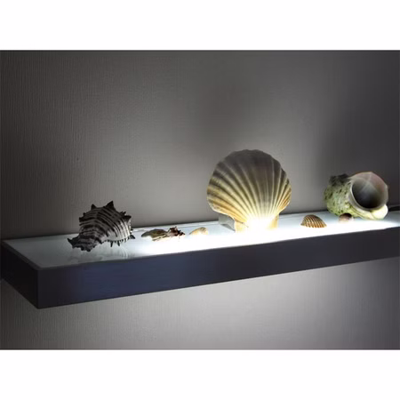 LED Glasbodenleuchte Leuchtregal Edelstahloptik 450, 600, 900 oder 1200 mm