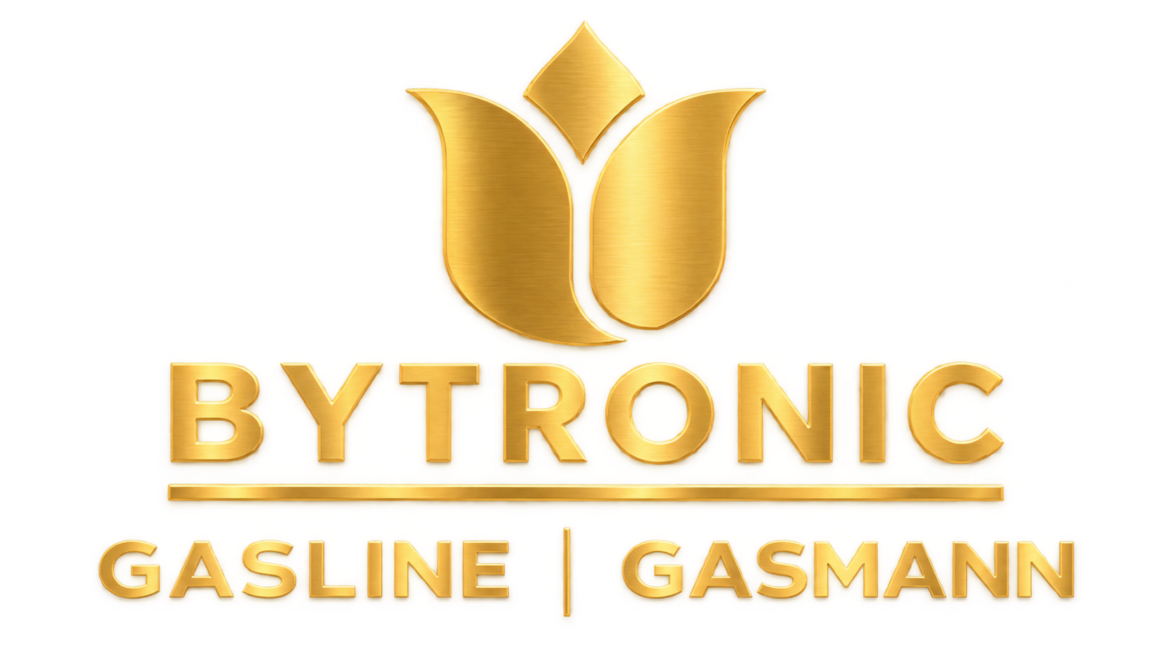 bytronic Haushaltsgeräte GmbH