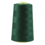 4572m Qualitäts Overlock-Garn Overlock-Nähgarn Oeko-Tex Farben 581 bis 620