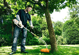 STIHL Elektro-Motorsense FSE 60 STIHL Elektro-Motorsense FSE 60