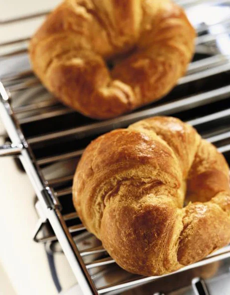 Dualit Toaster Paket 3, 2er Toaster mit zwei Sandwichzangen und Brötchenaufsatz-Sage green