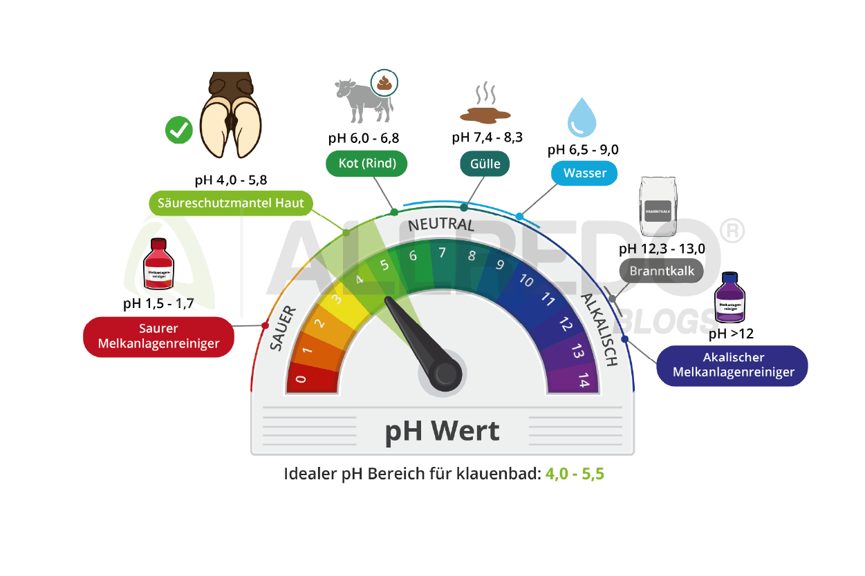 pH-Wert Diagramm für Klauenbad mit idealem Bereich von 4,0 bis 5,5