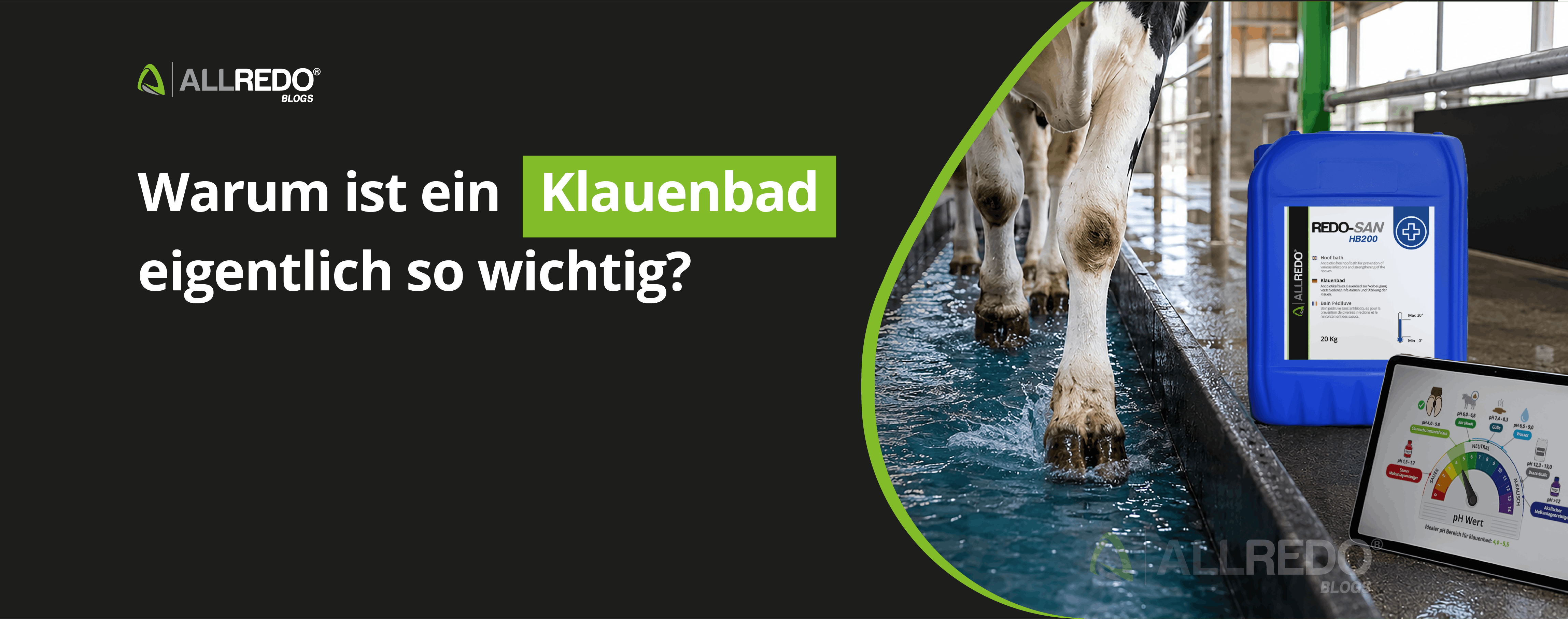 Warum ist ein Klauenbad eigentlich so wichtig?