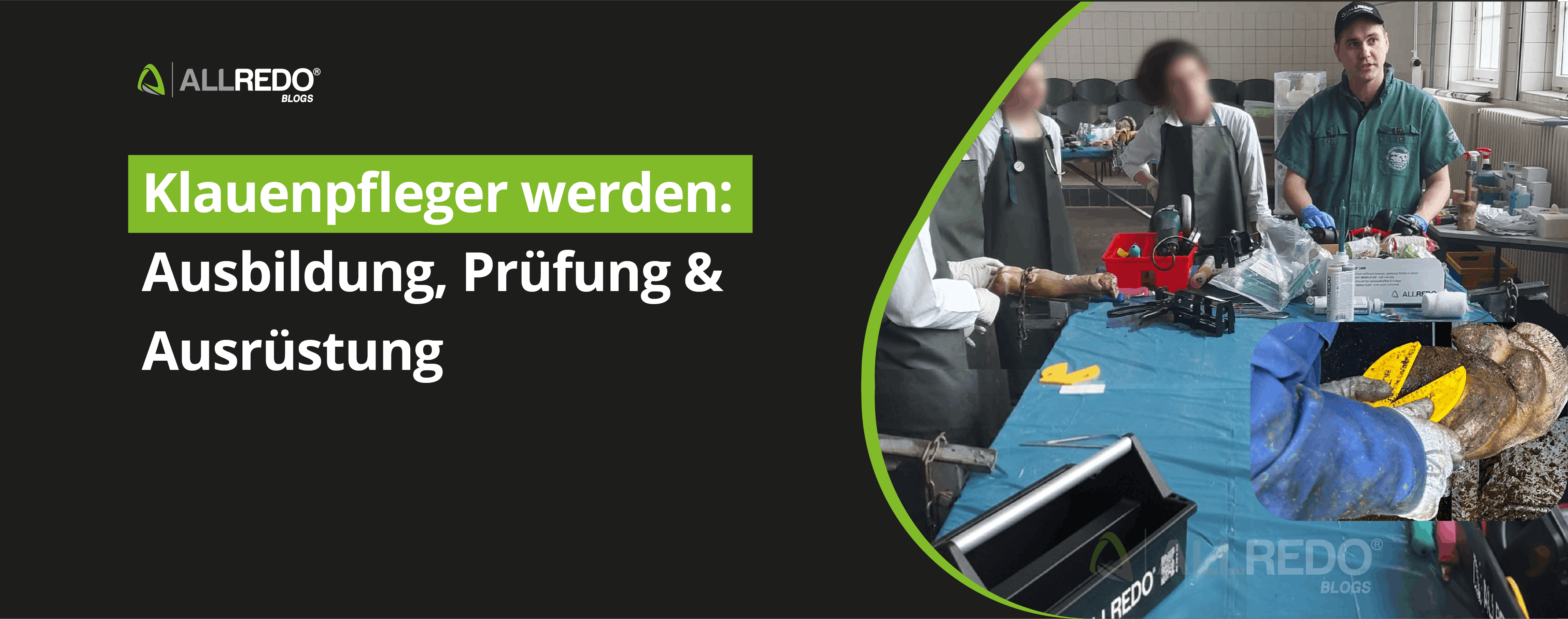 Klauenpfleger werden: Ausbildung, Prüfung & Ausrüstung