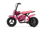 1172018gb03-pink.jpg