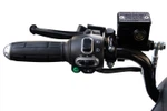 2010170db05.jpg