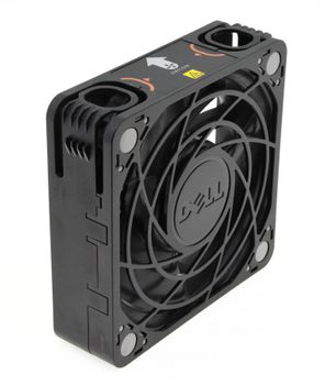 middle size zoom image