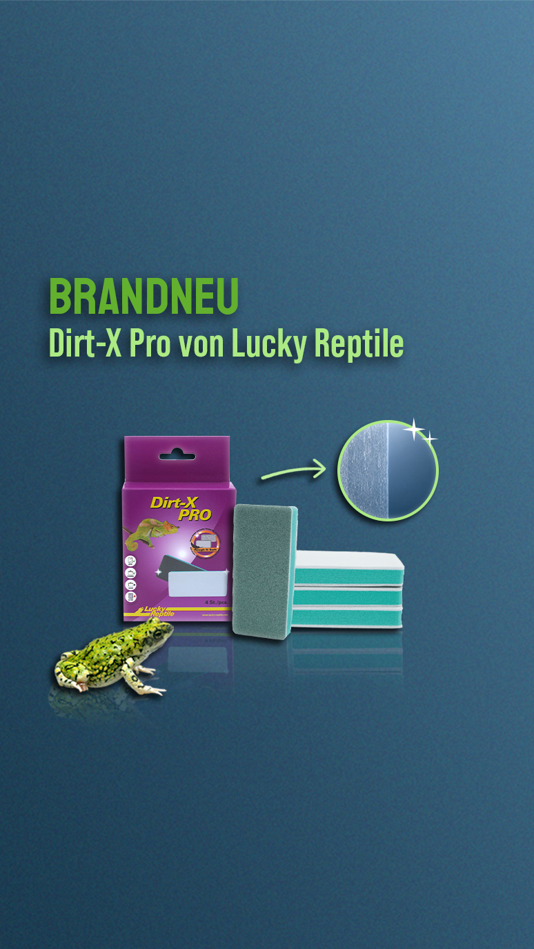     Lucky Reptile Dirt-X Pro Reingungsschwamm (4 Stück)
