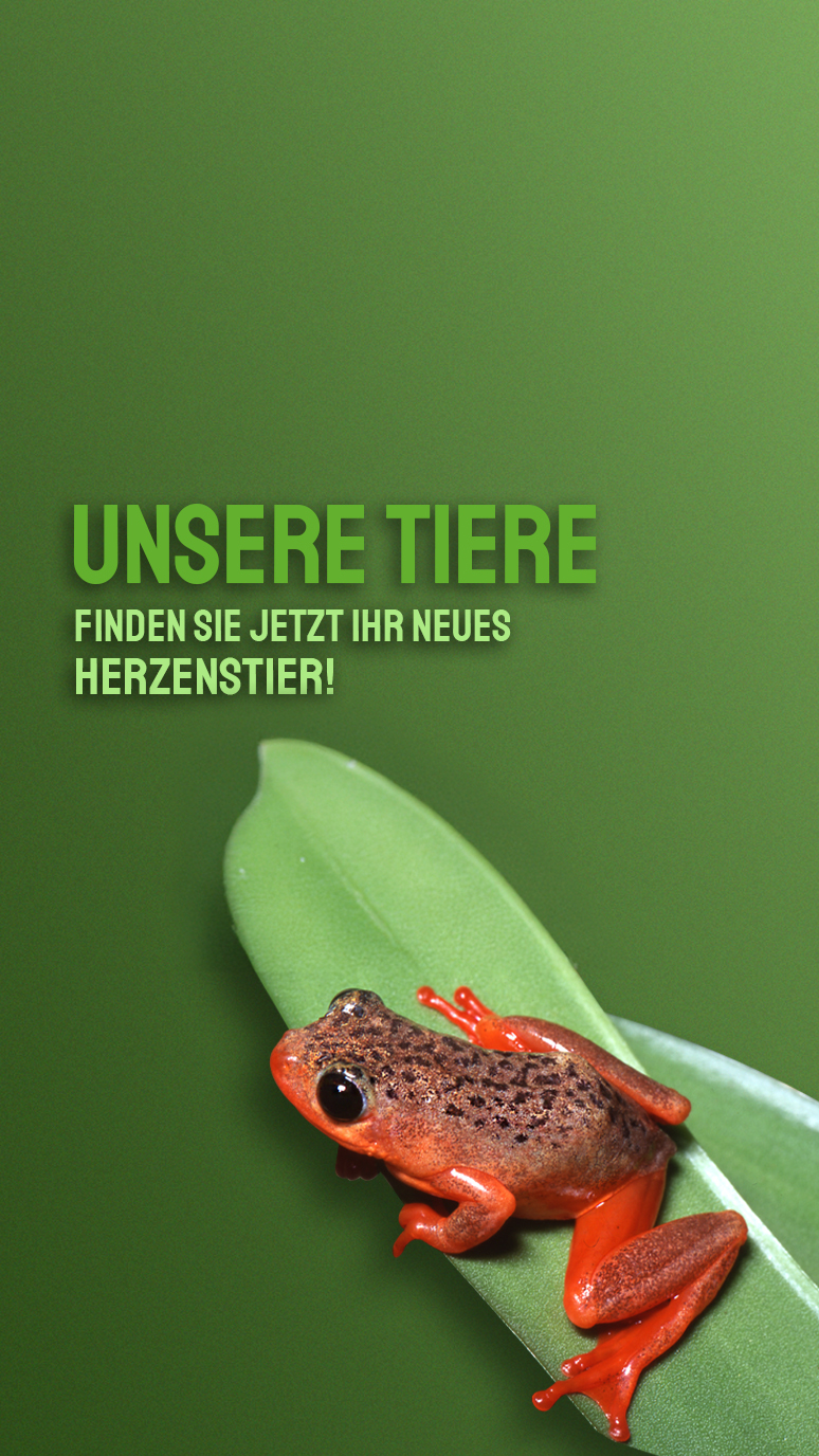 Tiere