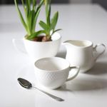 2li-beyaz-lifestyle-image.jpg
