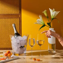 Stem-Zero-Trio-White-Wine-Flute-Magnolia-Small-Glacier-Champagne-Cooler-b472f91b-3770-4245-bde7-5c17c6cb26b2.jpg Stem-Zero-Trio-White-Wine-Flute-Magnolia-Small-Glacier-Champagne-Cooler-b472f91b-3770-4245-bde7-5c17c6cb26b2.jpg