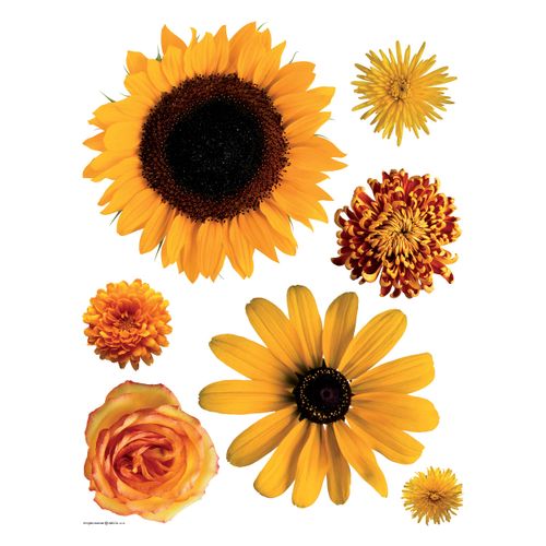Wandsticker Wandtattoo Blumen gelb Sonnenblume