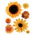 Wandsticker Wandtattoo Blumen gelb Sonnenblume 1