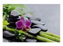 Picture Canvas Print stone orchid bamboo 78x118 cm 1