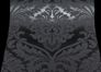 Wallpaper baroque black AS Creation 5526-31 1