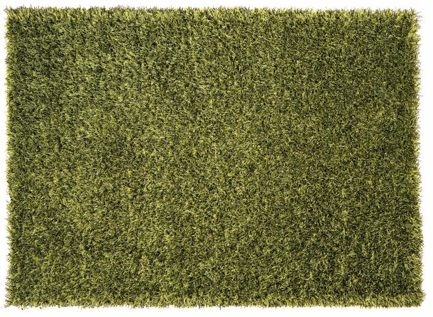 Schöner Wohnen Rug Feeling Shaggy Shaggy Green