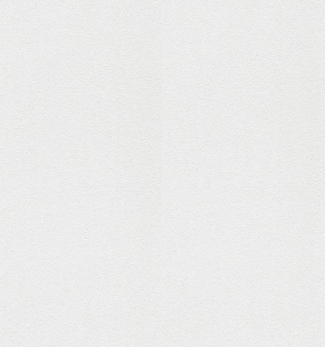 Impression XL Paintable Wallpaper non woven rough plastering 161311