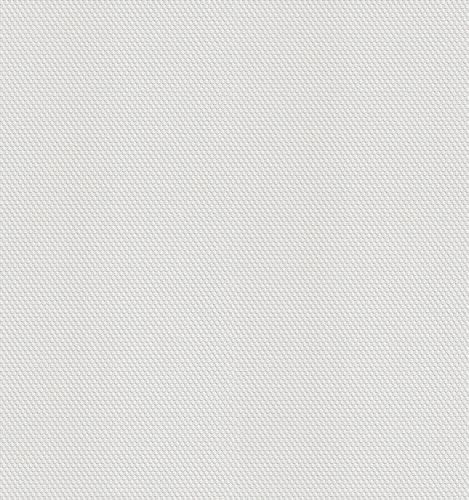 Photograph XL Paintable Wallpaper non woven textile pattern 183313