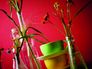 Paintable Wallpaper Non-Woven Scratch 1035-12 3