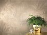 Wallpaper floral cream AS Creation Versace 96240-2 3