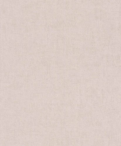 Picture Wallpaper non-woven texture plain design grey beige Rasch 489828