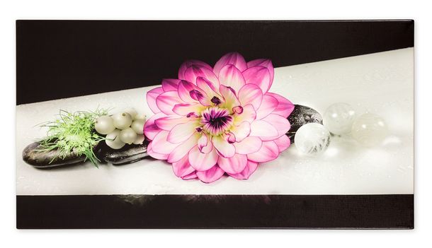 Canvas mural florals black purple 50x100 cm