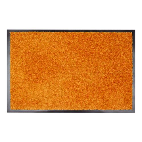 Door Entrance Barrier Mat X-Tra Clean var. Designs