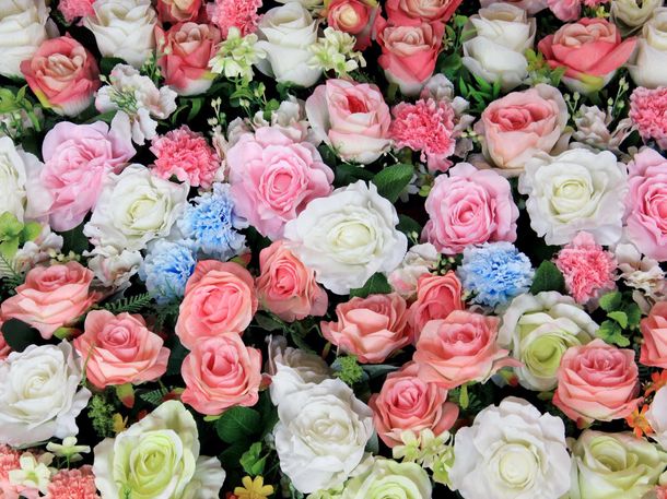 XL Photo wallpaper flowern roses nature wallpaper paper non woven Des-18