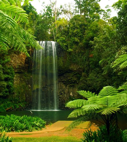 XL Fototapete Wasser Wasserfall Wald Natur Bäume Tapete Papier Vlies Des-21