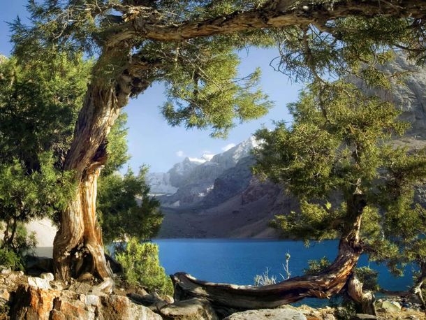 XL Fototapete Tapete See Berge Natur Landschaft Panorama 360x255cm