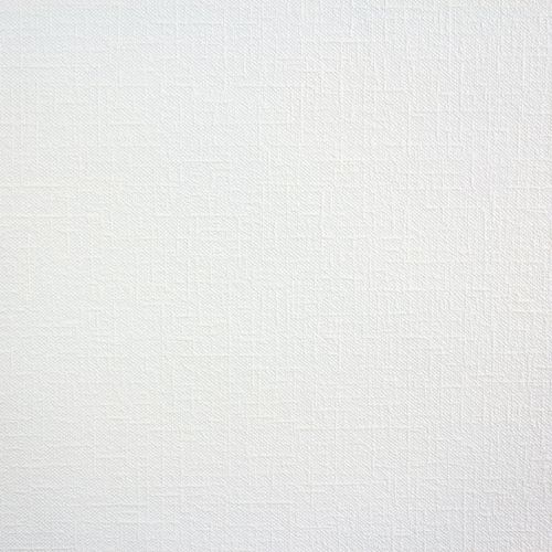 XL Non-Woven Wallpaper Paintable Texture Plaster 33638-1