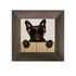 Hund 3er-Set Bilder Gerahmt Hunde Bulldogge Cool Sonnenbrille Tier 23x23cm 2