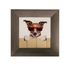 Variante 3er-Set Bilder Gerahmt Hunde Bulldogge Cool Sonnenbrille Tier 23x23cm 3