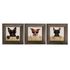 3er-Set Bilder Gerahmt Hunde Bulldogge Cool Sonnenbrille Tier 23x23cm 1