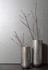 Raumbild Dieter Langer Tapete Vlies Tango Tupfer silber Metallic 58831 2