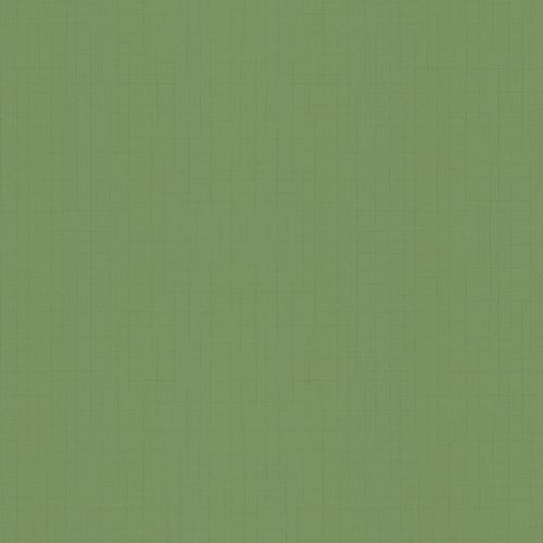 Artikelbild Dieter Langer Tapete Vlies Tango Leinenoptik grün 58863