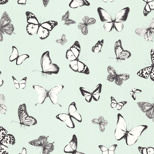 Wallpaper Sample 138876