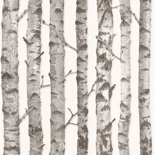 Wallpaper Sample 138889