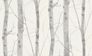 Wallpaper Erismann Paradisio Nature branch motif white grey gloss 6305-10 1