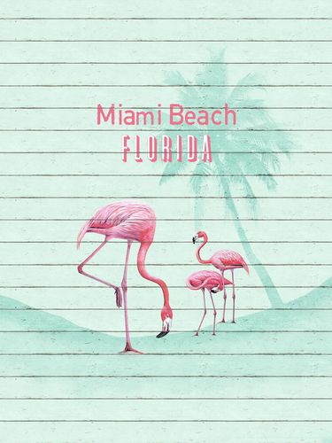 Fototapete Vlies Flamingo Miami Beach Florida 255x300cm
