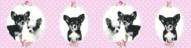 Tapeten-Borte-Kinder-Hund-Chihuahua-rosa-schwarz_1