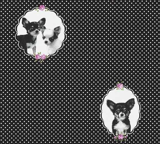 Wallpaper Sample 35851-2