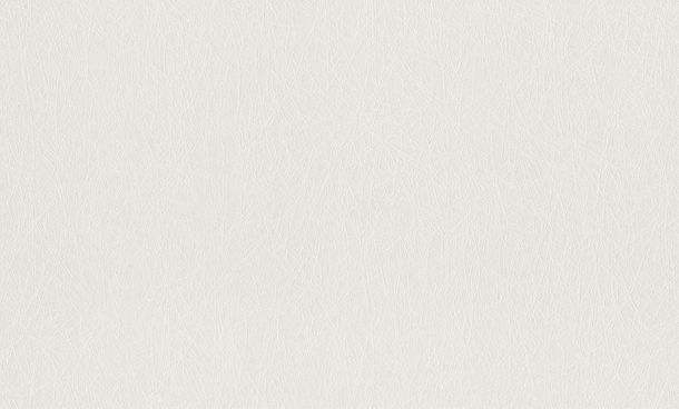 Photograph XL Paintable Wallpaper non woven fibres Rasch 124514