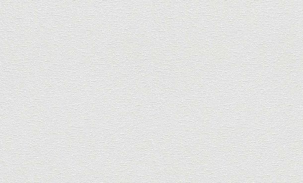 Impression XL Paintable Wallpaper non woven texture Rasch 183610