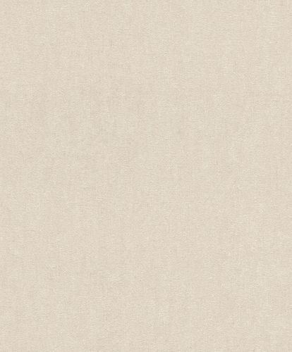 Picture Wallpaper Rasch mottled texture beige cream 402339