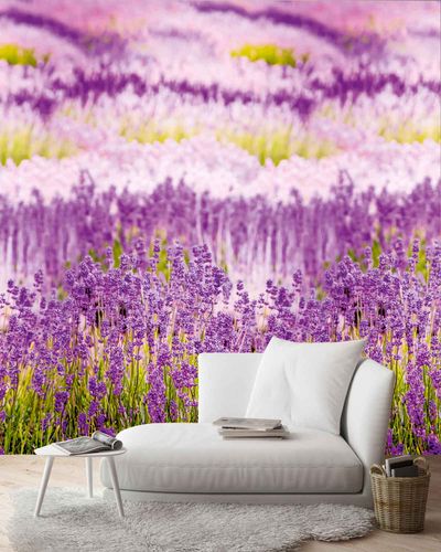 Digitaldruck-Vlies-Fototapete-Lavendel-Blumen--A3