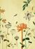 Picture Photo Wallpaper Nature Bird yellow orange 532036 2