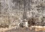 Artikelbild Digitaldruck Foto-Vliestapete Kellerwand 3