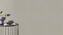 Artcile picture  Non-woven wallpaper tapetenwechsel textured cream gray 633375 3